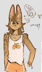 anthro band-aid band-aid_on_face bandage bandage_on_face bottomwear brown_body brown_fur clothed clothing food fruit fur hair jewelry looking_at_viewer male necklace orange_(fruit) plant shirt shorts simple_background solo text topwear 0scribble_nibble felid feline lynx mammal colored digital_drawing_(artwork) digital_media_(artwork) english_text sketch