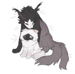 ambiguous_gender black_body black_fur duo feral fluffy fluffy_tail fur grey_body grey_fur inner_ear_fluff licking licking_another mouth_closed multi_tail one_eye_closed paws quadruped simple_background tail tongue tongue_out tuft white_background white_body white_fur aaasakawa hollow_knight:_silksong hollow_knight_(franchise) team_cherry lace_(hollow_knight:_silksong) phantom_(hollow_knight:_silksong) felid feline mammal 2026 hi_res female_(lore) sibling_(lore) sister_(lore) sisters_(lore)
