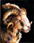 black_background brown_eyes caprine curly_horns eattoast feral fluffy horn looking_at_viewer mammal original plain_background portrait profile ram solo
Rating: Safe
Score: 2
User: titaniachkt
Date: March 01, 2012 black_background brown_eyes caprine curly_horns eattoast feral fluffy horn looking_at_viewer mammal original plain_background portrait profile ram solo
Rating: Safe
Score: 2
User: titaniachkt
Date: March 01, 2012