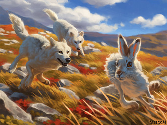 amber_eyes black_nose blue_sky cloud detailed_background feral fluffy fur grass group hunting plant realistic rock running sky trio whiskers white_body white_fur alexpahomov arctic_hare arctic_wolf canid canine canis hare lagomorph leporid mammal wolf 2024 detailed