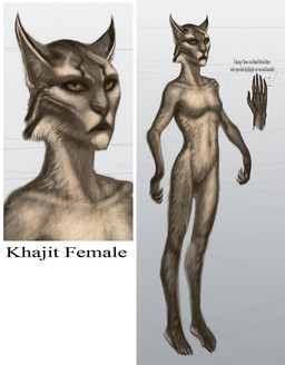 5_fingers anthro breasts brown_body brown_fur claws featureless_breasts featureless_crotch female fingers fur looking_up nude plantigrade simple_background solo standing text adam_adamowicz bethesda_game_studios microsoft skyrim the_elder_scrolls felid khajiit mammal english_text official_art