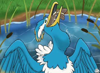 beak blue_body facial_markings feathered_crest feathered_wings feathers feet feral feral_pred feral_prey green_eyes head_crest head_markings larger_pred male male_pred markings mask_(marking) neck_bulge oral_vore size_difference vore white_markings wings yellow_markings flippin-rad nintendo pokemon fan_character thunk_(gyro) arrokuda avian cramorant generation_8_pokemon pokemon_(species) absurd_res hi_res