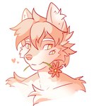 3_eyes 4_eyes absurd_res anthro canid canine canis flower fluffy fluffy_hair fluffy_head hair heart_symbol hi_res inner_ear_fluff male mammal multi_eye plant ramiil red_flower solo tuft wolf