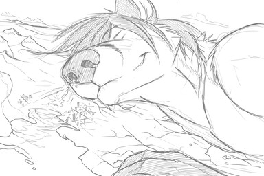 anthro cheek_tuft closed_smile eyes_closed facial_tuft hair lying macro male male_anthro mouth_closed neck_tuft on_side outside short_hair smile solo tuft solaxe_(artist) vulpes_pawpad canid canine fox mammal monochrome sketch