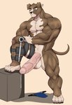 abs anthro balls biceps big_balls big_muscles big_penis bodily_fluids brown_body brown_fur claws deltoids fur genital_fluids genitals half-erect huge_muscles huge_penis humanoid_genitalia humanoid_penis leg_brace male multicolored_body multicolored_fur muscular muscular_anthro muscular_male nipples nude pecs penis precum simple_background solo standing two_tone_body two_tone_fur white_balls white_body white_fur wolfblack43 soarich_hovinden canid canine canis domestic_dog greyhound hunting_dog mammal sighthound hi_res