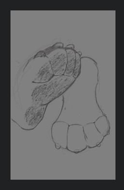 ambiguous_gender anthro black_border border claws destruction dirt dirty dirty_feet dirty_paws feet foot_fetish macro micro pawpads paws solo toe_claws toes kingmalt hi_res monochrome
