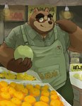 anthro apron bottomwear brown_body clothing detailed_background eyewear food fruit glasses kemono male overweight overweight_male pants plant shirt solo text topwear hisreralitlle vtuber canid canine mammal raccoon_dog tanuki 2025 absurd_res hi_res japanese_text