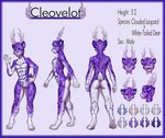 anthro antlers athletic digitigrade folded_ears fur gesture hair horn leopard_spots male markings multiple_angles palette purple_body purple_eyes purple_fur purple_hair purple_spots purple_stripes scut_tail short_hair short_tail smile solo spots spotted_body stripes tail teeth_showing text waving white_body white_fur wide_hips maxx-ros cleovelot clouded_leopard deer felid hybrid mammal new_world_deer pantherine white-tailed_deer absurd_res english_text headshot_portrait hi_res model_sheet portrait