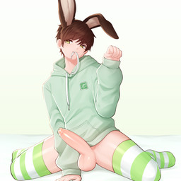 balls clothing femboy genitals hoodie humanoid_genitalia humanoid_penis legwear male penis solo thigh_highs toothy_grin topwear kanookies charlienya human lagomorph leporid mammal rabbit 1:1 absurd_res hi_res