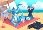 anthro beach bikini blue_body blue_eyes blue_hair butt claws clothing duo female feral finger_claws hair solo_focus swimwear toe_claws two-piece_swimsuit underwear yellow_eyes lalamedli icecat77_(character) domestic_cat felid feline felis mammal absurd_res hi_res