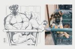 anthro biped collar eyebrows floppy_ears fur leash leashed_collar male muscular muscular_anthro muscular_male pawpads paws real shopping_cart solo tail tail_motion tailwag canyne_khai canid canine canis domestic_dog mammal hi_res reference_image