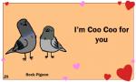 ambiguous_gender beak black_eyes cere_(anatomy) duo feral holidays humor pun text birdcheese valentine's_day avian bird columbid pigeon rock_dove 5:3 animated digital_media_(artwork) english_text low_res short_playtime