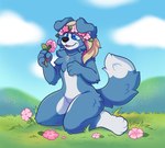 anthro blonde_hair blue_body blue_eyes blue_fur cloud detailed_background dipstick_tail floppy_ears flower flower_crown fur grass grass_field hair hill long_hair male markings pawpads picking_flowers pink_flower_crown pink_hair plant solo tail tail_markings fabuponah kai_sebert border_collie canid canine canis collie domestic_dog herding_dog mammal pastoral_dog sheepdog absurd_res hi_res