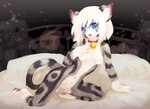 anthro bed bell bell_collar blue_eyes breasts collar featureless_breasts featureless_crotch female furniture hair looking_at_viewer navel nude on_bed open_mouth pawpads solo white_hair worried tetetor-oort karin_(tetetor-oort) domestic_cat felid feline felis mammal 2018 hi_res