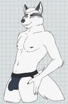 anthro arm_tuft bedroom_eyes biped black_claws black_eyebrows blue_clothing blue_jockstrap blue_underwear body_hair bulge checkered checkered_background cheek_tuft claws clothed clothing detailed_bulge elbow_tuft erection erection_under_clothing eye_markings eyebrows facial_markings facial_tuft fur grey_nipples grey_nose hair hand_on_leg hand_on_thigh happy_trail head_markings inner_ear_fluff jockstrap jockstrap_only looking_at_viewer male male_anthro markings multicolored_body multicolored_clothing multicolored_underwear narrowed_eyes navel nipples partially_clothed partially_clothed_male pattern_background raised_eyebrow seductive simple_background slim solo standing toothy_grin topless tuft underwear underwear_only whiskers white_background white_body white_fur white_hair white_inner_ear white_inner_ear_fluff white_sclera yellow_eyes unsafescapewolf echo_(series) echo_project the_smoke_room jim_sterling_(the_smoke_room) canid canine fox mammal 2024 digital_drawing_(artwork) digital_media_(artwork) hi_res portrait three-quarter_portrait