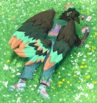 ambiguous_gender anthro beak bottomwear clothed clothing earbuds electronics feathers field field_background flower footwear grass grass_field headphones lying nature nature_background on_front plant shoes smile solo tail tail_feathers topwear wings teamfurtress avian bird absurd_res hi_res