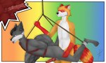 anthro archie_the_raccoon bdsm bondage bound canid canine canis cutaway duo hi_res male male/male mammal negima_play restraints rope rope_bondage rope_harness rory_vwv rosko wolf