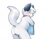 anthro backsack balls blush butt collar genitals looking_back male nude open_mouth raised_tail rear_view solo surprise tail towel wet young young_anthro arcc lambent arcc_(character) canid canine canis domestic_dog fox mammal hi_res