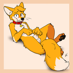 animal_genitalia animal_penis anthro anus balls balls_blush barely_visible_anus barely_visible_fangs barely_visible_genitalia barely_visible_penis black_pawpads blush body_blush canine_genitalia canine_penis collar cute_fangs fangs fluffy_balls fur genitals looking_at_viewer lying male on_back orange_body orange_fur orange_tail pawpads paws penis presenting raised_paw relaxed_expression sheath shy simple_background smile solo tail tail_between_legs tan_body tan_fur teeth tongue tongue_out whiskers raposanaranja chris_(raposanaranja) canid canine canis fox mammal 1:1 absurd_res hi_res