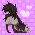 1:1 2013 all_fours ambiguous_gender anus anus_only ass_up black_body black_fur black_tail butt featureless_crotch feral fluffy fluffy_tail fur generation_3_pokemon grey_body grey_fur heart_symbol looking_at_viewer looking_back looking_back_at_viewer mightyena negoya nintendo pokemon pokemon_(species) raised_tail red_eyes snout solo tail yellow_sclera