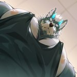 anthro big_pecs black_clothing black_shirt black_tank_top black_topwear blue_body blue_eyes blue_fur blue_horn ceiling chest_tuft clothing fur hair horn inside looking_at_viewer looking_down looking_down_at_viewer low-angle_view male multicolored_body multicolored_fur muscular muscular_anthro muscular_male nipples pecs shirt solo tank_top topwear tuft two_tone_body two_tone_fur white_body white_fur white_hair worm's-eye_view orzero pec_pov_meme orzero_(character) canid canine canis domestic_dog husky mammal nordic_sled_dog spitz 2024 hi_res meme