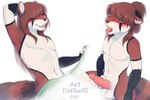 anthro balls brown_hair genitals hair male nude open_mouth penis smile teeth tongue dafka ailurid mammal red_panda 2021 3:2 digital_media_(artwork) hi_res