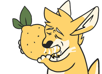 anthro black_nose blonde_hair bodily_fluids dipstick_ears drooling ear_markings eyes_closed food fruit fur hair holding_food holding_fruit holding_lemon holding_object kissing lemon male male_anthro multicolored_ears nude plant saliva short_hair simple_background solo white_background white_body white_fur yellow_body yellow_fur solaxe_(artist) yoshi_and_toad_kissing solaxe kangaroo macropod mammal marsupial meme