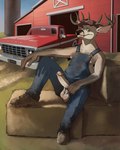 anthro antlers arm_hair armpit_hair balls barn body_hair boots clothing dirty dirty_clothing dirty_shoes erection footwear genitals hairy_balls hay hay_bale horn humanoid_genitalia humanoid_penis light_truck looking_at_viewer male nipples outside overalls penis pickup_truck pubes pubes_exposed reclining redneck shoes smile solo truck_(vehicle) trucker_hat vehicle mobilemutt deer mammal 4:5 hi_res