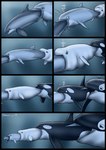 2017 ambiguous_gender ambiguous_pred ambiguous_prey artist_name beluga bubble cetacean cheiss comic dolorcin dolphin feral feral_pred feral_prey group harbour_porpoise hi_res larger_pred mammal marine monodontid multiple_pred multiple_prey oceanic_dolphin oral_vore orca partially_inside porpoise recursive_vore size_difference smaller_prey soft_vore striped_dolphin surprise tongue tongue_out toothed_whale underwater vore water year