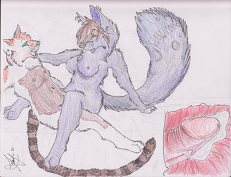 anthro bodily_fluids breasts cum duo erection female from_front_position fur genital_fluids genitals humanoid_genitalia humanoid_penis internal male male/female mastery_position mottled nipples nude on_top penis piebald piercing purple_body purple_fur sex straddling tail touchmyfur calico_cat canid canine domestic_cat felid feline felis mammal traditional_media_(artwork)