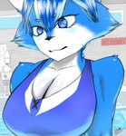 absurd_res anthro big_breasts breasts canid canine cleavage close-up clothed clothing female fox fur hi_res human mammal solo swimwear vensaru