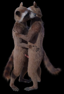 anthro balls clone duo fur genitals male male/male nude penis rasterraccoon disney guardians_of_the_galaxy marvel rocket_raccoon mammal procyonid raccoon 3d_(artwork) digital_media_(artwork)