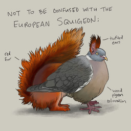 avian_feet beak ear_tuft feathered_wings feathers feral fluffy fluffy_tail fur grey_background grey_body grey_feathers paws red_body red_fur simple_background tail tan_body tan_feathers text tuft wings yellow_eyes heimeldat mythology avian bird columbid european_wood_gryphon gryphon hybrid mammal mythological_avian mythological_creature pigeon rodent sciurid squigeon tree_squirrel 1:1 english_description english_text hi_res pen_(artwork) traditional_media_(artwork)