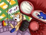abdominal_bulge cream_the_rabbit cum cum_in_pussy cum_inside disembodied_penis female forced impregnation internal lagomorph male mammal orintakoda penis rabbit sega sonic_(series) spread_legs spreading surprise tears unwanted_cumshot young
Rating: Explicit
Score: 10
User: OrinTakoda
Date: February 14, 2014
