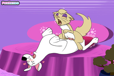 animal_genitalia animal_penis bed canine_genitalia canine_penis cowgirl_position duo erection eyeshadow female female_penetrated feral feral_on_feral feral_penetrated feral_penetrating feral_penetrating_feral from_front_position furniture genitals heart_symbol interspecies knot knotted_penis knotting makeup male male/female male_penetrating male_penetrating_female on_bottom on_top penetration penile penile_penetration penis purple_eyeshadow sex vaginal vaginal_penetration foxretro krypto_the_superdog delilah_(dc) canid canine canis domestic_cat domestic_dog felid feline felis mammal 3:2 tagme