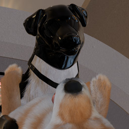 angry angry_sex asphyxiation black_body black_fur blind breath clothing deaf disability duo eyes_closed faceless_character faceless_male female feral feral_on_feral feral_penetrated feral_penetrating feral_penetrating_feral floor floppy_ears fluffy footwear fur futuristic_clothing futuristic_setting genitals glistening glistening_latex growling harness knot knotted_penis latex latex_clothing latex_footwear latex_harness latex_hood latex_socks lying lying_on_ground male male/female multicolored_body multicolored_fur on_back on_ground panting penetration penis pointy_ears questionable_consent realistic_feral science_fiction sensory_deprivation sex socks stretched_pussy tile tile_floor tongue tongue_out unable_to_speak vaginal vaginal_penetration white_body white_fur yellow_body yellow_fur anonyartist3d barkley_(canine_conundrum) unnamed_character border_collie canid canine canis collie domestic_dog herding_dog mammal pastoral_dog sheepdog shiba_inu spitz 3d_(artwork) digital_media_(artwork) hi_res