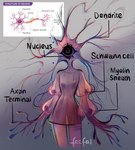 1_eye biped cell_(organism) cell_humanoid english_text feefal female hi_res humanoid neuron not_furry reference_image solo tentacles text