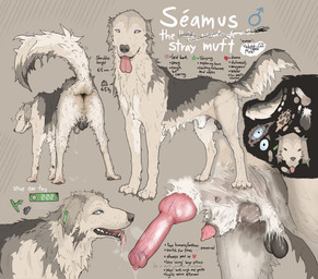 4_toes all_fours anatomically_correct anatomically_correct_genitalia anatomically_correct_penis animal_genitalia animal_penis anus backsack balls black_lips blue_eyes bodily_fluids breath butt canine_genitalia canine_penis close-up color_swatch detailed_penis disembodied_penis dripping ear_piercing ear_tag erection feet feral floppy_ears fur fur_markings gender_symbol genital_fluids genitals glistening glistening_genitalia glistening_penis grey_body grey_fur half-erect knot knot_in_sheath knotted_penis leaking_precum lips lipsticking looking_aside looking_at_viewer looking_back looking_pleasured low-angle_view male male_feral male_symbol markings motion_lines mouth_closed multicolored_body multicolored_fur multiple_poses open_mouth panting pawpads penis piercing pose precum precum_drip precum_on_ground precum_string presenting presenting_anus presenting_hindquarters raised_tail realistic_feral rear_view saliva saliva_drip saliva_on_tongue saliva_string sheath side_view simple_background smile solo standing symbol tail tail_motion tailwag tan_body tan_fur teats text text_with_heart three-quarter_view toes tongue tongue_out toony tuft hotdogmeat seamus_(hotdogmeat) canid canine canis domestic_dog mammal 2026 absurd_res digital_media_(artwork) hi_res model_sheet