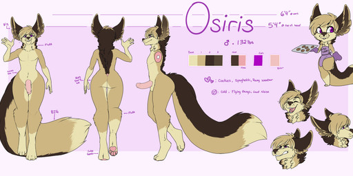 anthro balls biped circumcised erection femboy flaccid fur genitals hair humanoid_genitalia humanoid_penis looking_at_viewer male multiple_poses nude penis pose side_view simple_background smile solo text thick_thighs turnaround redpixie osiris_henschel canid canine mammal 2017 absurd_res english_text flat_colors hi_res model_sheet