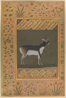 2_horns animal_genitalia feral flower fully_sheathed genitals hooves horn male male_feral plant quadruped sheath short_tail side_view simple_background solo standing tail text text_box unguligrade manohar public_domain antelope blackbuck bovid mammal true_antelope 17th_century absurd_res ancient_art gouache_(artwork) hi_res painting_(artwork) partially_translated persian_text traditional_media_(artwork) traditional_painting_(artwork) translation_request