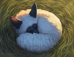 ambiguous_gender black_body black_ears copyright_symbol eyes_closed feathers feral monotone_body monotone_feathers sleeping solo symbol text white_body white_feathers chiakiro canid canine fox hybrid mammal 2022 artist_name digital_media_(artwork) digital_painting_(artwork) url