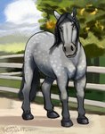 art_fight black_hair dappled dappled_horse draft_horse equid equine fence feral grass grey_body grey_eyes hair hi_res horse male mammal outside painted_(disambiguation) plant signature solo standing trail tree wolfywetfurr_(artist)