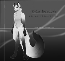 anthro fur green_eyes kyle_meadows male nude slim solo standing white_body white_fur canid canine fox mammal absurd_res hi_res