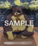 anthro asian_clothing belly clothing dohyo east_asian_clothing fighting_ring humanoid_hands japanese_clothing male mawashi moobs navel night nipples outside overweight overweight_anthro overweight_male solo sumo sumo_ring text tiri_mama bear mammal 2019 distracting_watermark watermark