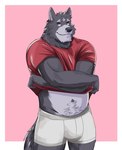 anthro boxer_briefs bulge clothing facial_piercing grin labret_piercing lip_piercing male muscular muscular_anthro muscular_male navel overweight overweight_anthro overweight_male piercing shirt smile solo topwear underwear undressing naikuma adastra adastra_(series) echo_project amicus_(adastra) canid canine canis mammal wolf hi_res