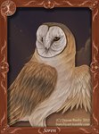 ambiguous_gender brown_body brown_eyes brown_feathers cloud feathers feral night picture_frame solo star text white_body white_feathers bubsyart guardians_of_ga'hoole soren_(gogh) avian barn_owl bird owl tyto tytonid 2013 hi_res url