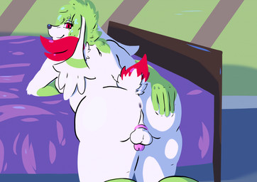 anthro anus backsack balls bed bedroom butt chastity_cage chastity_device dipstick_tail fur furniture genitals gloves_(marking) green_body green_fur green_hair green_markings gynomorph hair intersex leaning_on_bed looking_at_viewer looking_back looking_back_at_viewer markings on_bed pink_chastity_cage presenting presenting_anus presenting_hindquarters red_eyes red_tail_tip solid_chastity_cage solo spread_butt spreading tail tail_markings wearing_chastity_cage wearing_chastity_device white_body white_fur doitean nintendo pokemon marin_(doitean) generation_4_pokemon legendary_pokemon pokemon_(species) shaymin sky_forme_shaymin hi_res trans_(lore) trans_woman_(lore)