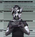 5_fingers angry anthro black_hair clothing fingers fur grey_body grey_fur hair holding_object jail_placard looking_at_viewer male mugshot number open_mouth placard sign simple_background solo standing text topwear white_body white_fur white_hair conditional_dnp tgt1512 barbie_and_ken_mugshot_meme tega_(tgt1512) equid equine horse mammal digital_media_(artwork) english_text hi_res portrait