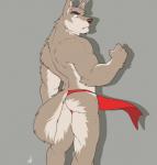 anthro biceps clothing fur male muscular muscular_anthro muscular_male simple_background solo ginnosuke canid canine canis mammal wolf 2018 digital_media_(artwork) hi_res