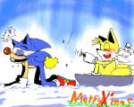 anthro bdsm blindfold blue_body blush canid canine duo eulipotyphlan fox hedgehog koiudesu low_res male mammal miles_prower outside sega snow sonic_the_hedgehog sonic_the_hedgehog_(series) whip